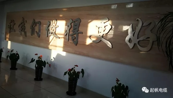 第六届金山区区长质量奖公布，emc易倍电缆周供华榜上有名